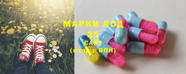 дживик Абаза