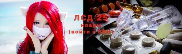 дживик Абаза