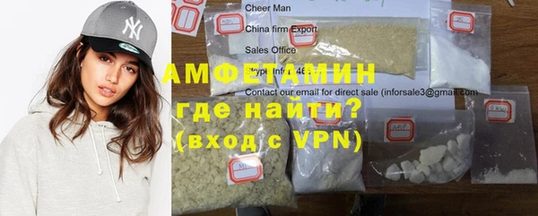 стаф Алзамай